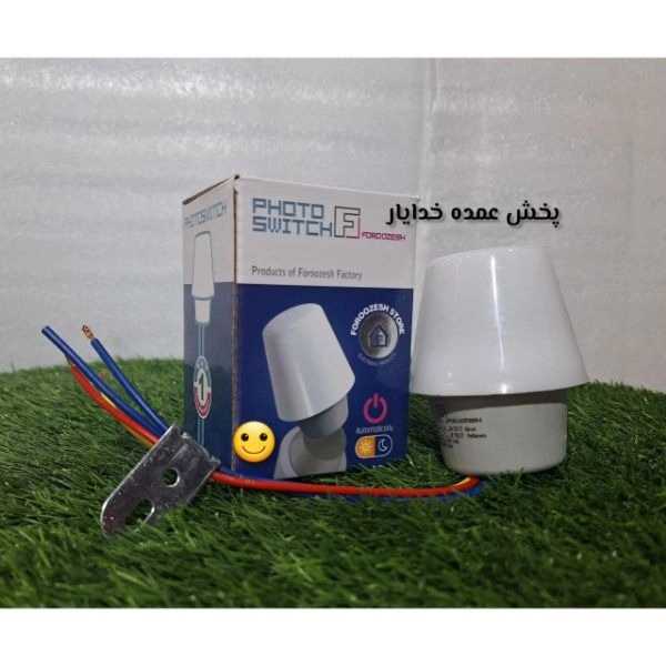 1699953851042.webp